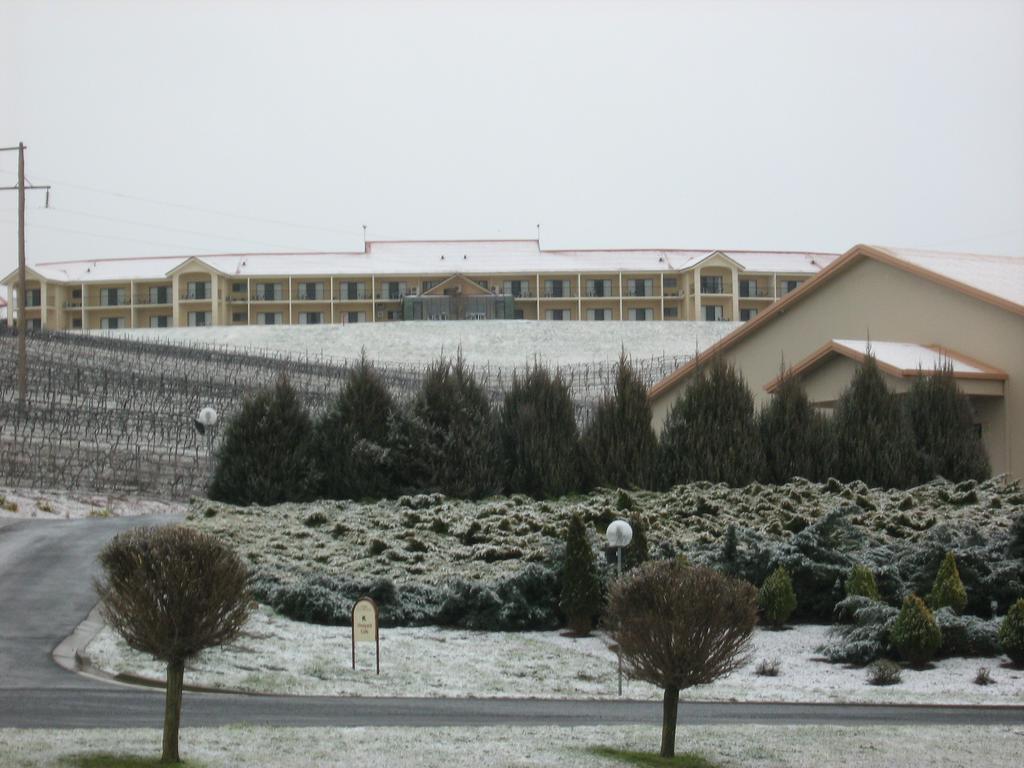 特纳葡萄园汽车旅馆 奥兰治 外观 照片